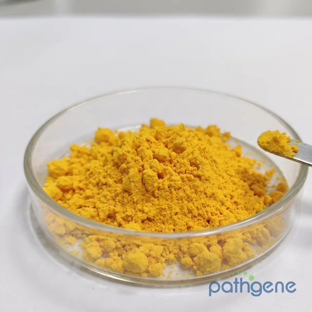 Flavin Adenine Dinucleotide Disodium Salt Powder CAS 84366-81-4 NAD⁺ precursor ingredient bulk supplier