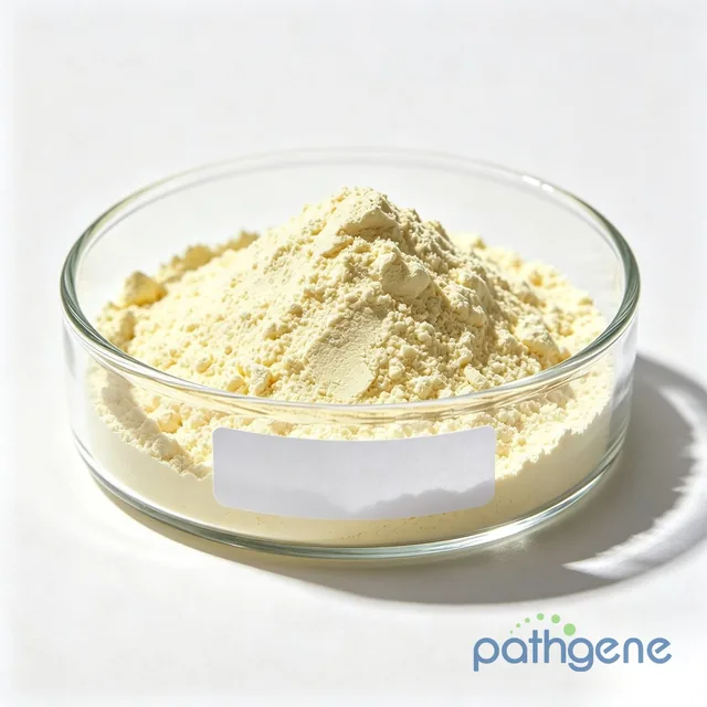 Isoquercitrin (Isoquercetin) Powder CAS 482-35-9 pharmaceutical and cognitive-health ingredient bulk supplier
