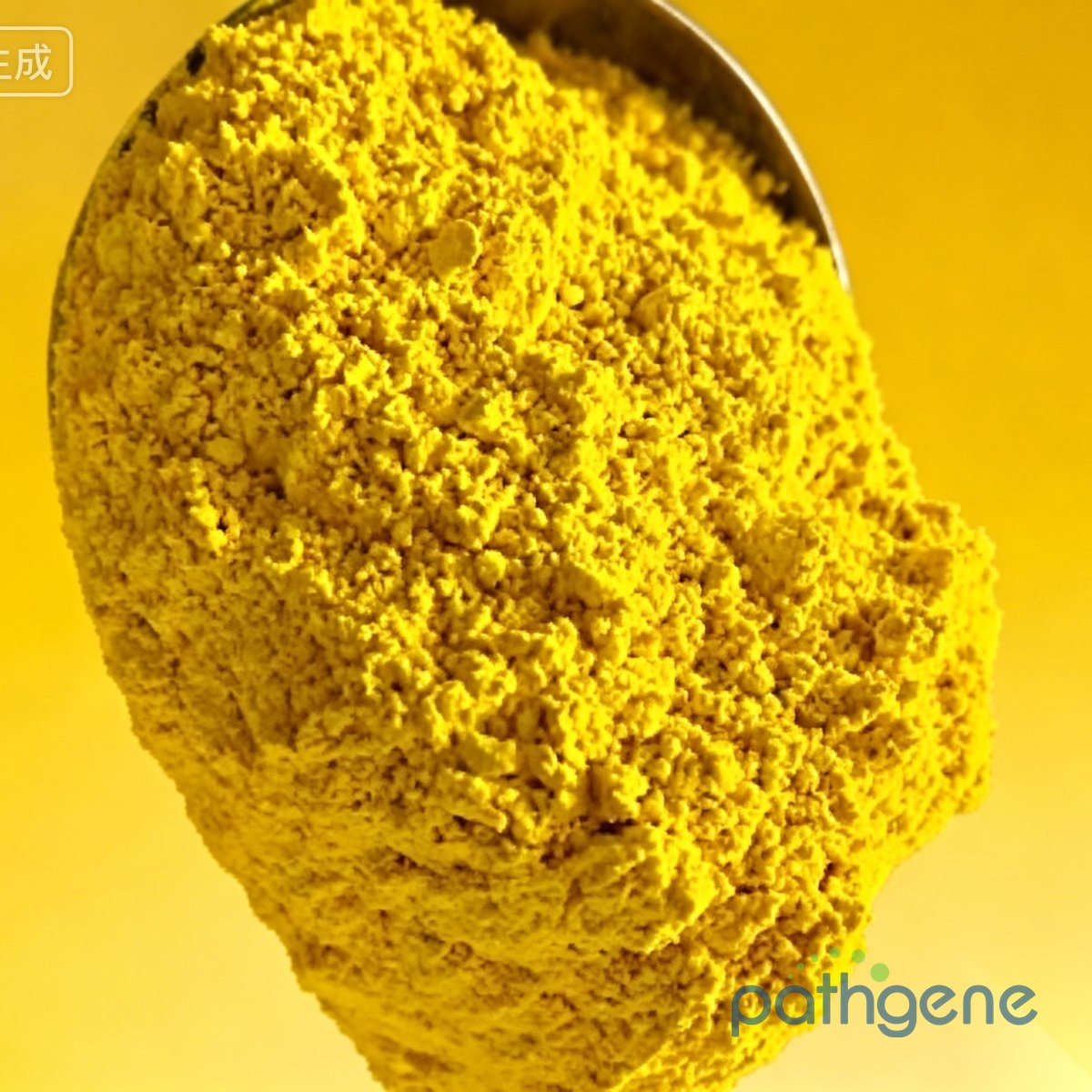 Berberine Hydrochloride CAS 633-65-8 pharmaceutical grade powder bulk supplier