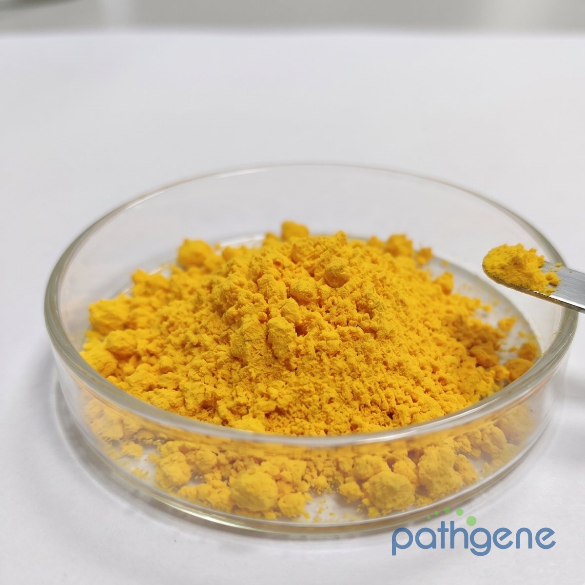 Flavin Adenine Dinucleotide Disodium Salt CAS 84366-81-4 pharmaceutical grade powder bulk supplier