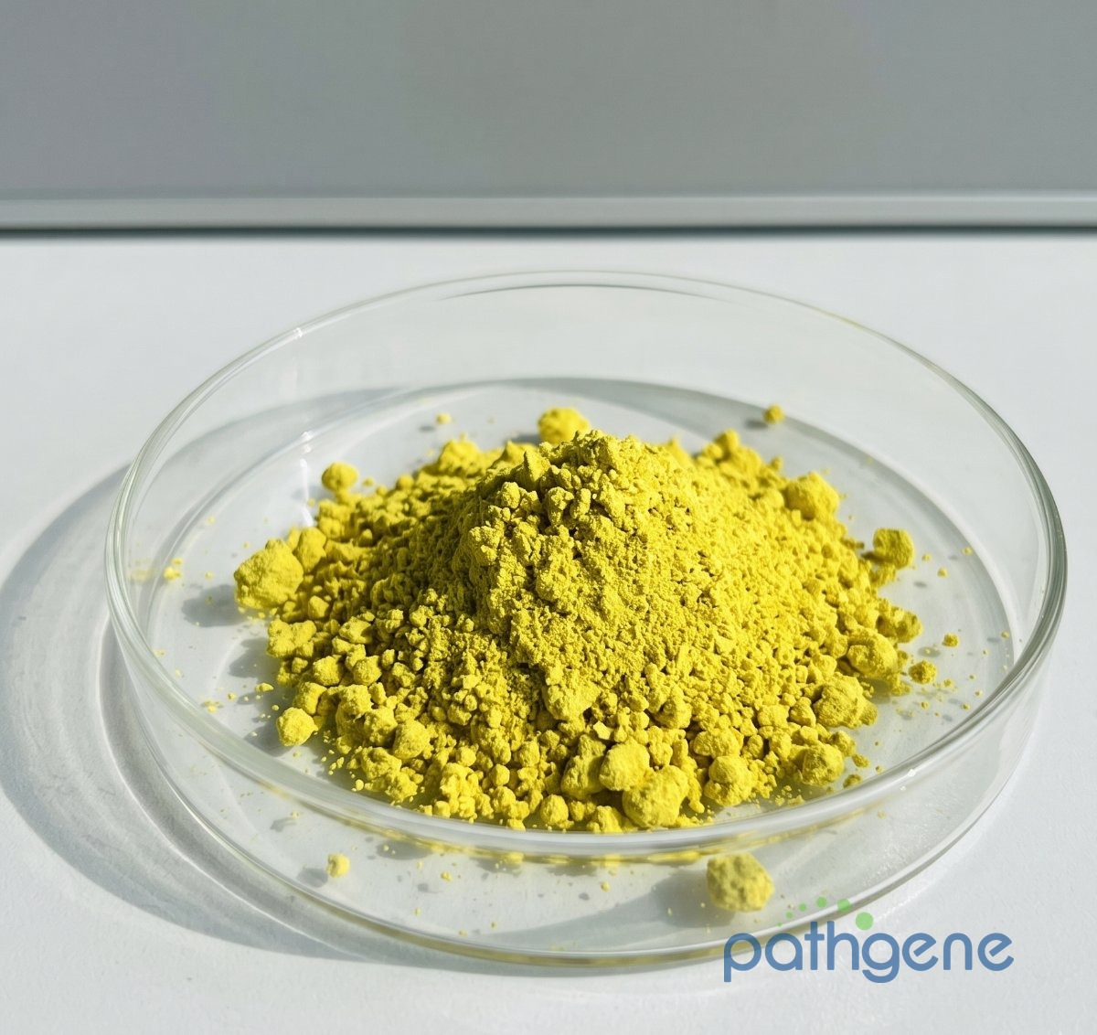 Fisetin CAS 528-48-3 pharmaceutical grade powder bulk supplier
