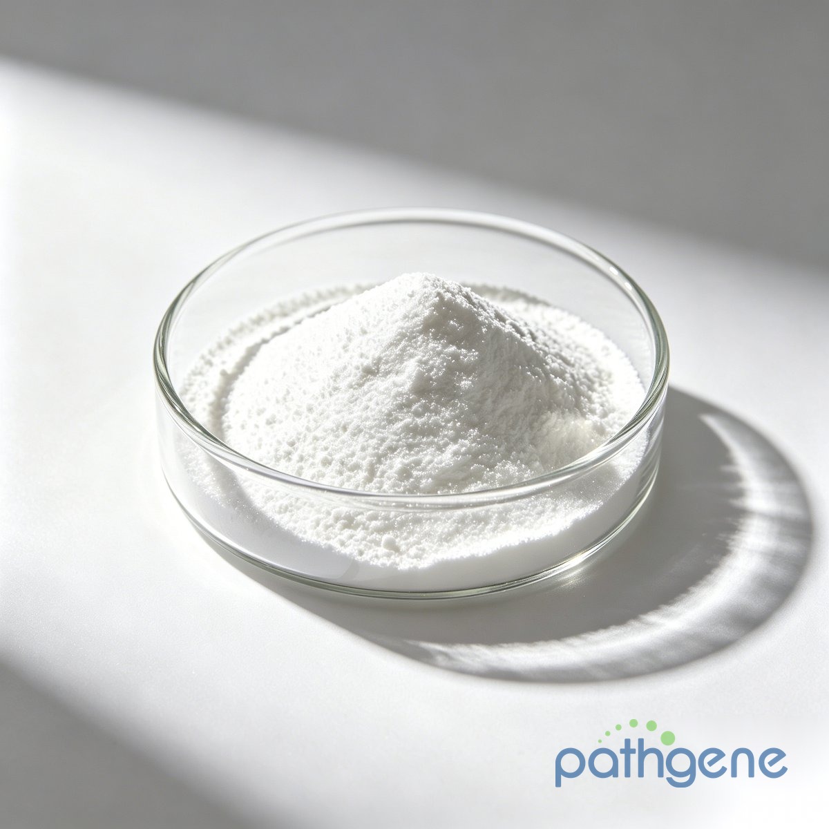 β-Nicotinamide Adenine Dinucleotide CAS 53-84-9 pharmaceutical grade powder bulk supplier