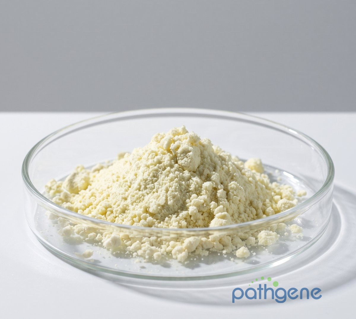 Reduced Nicotinamide Adenine Dinucleotide Phosphate Tetrasodium Salt CAS 2646-71-1 pharmaceutical grade powder bulk supplier