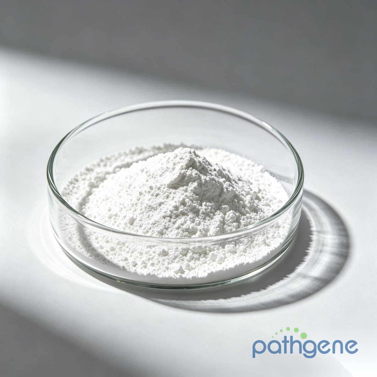 Nicotinamide Riboside Chloride CAS 23111-00-4 pharmaceutical grade powder bulk supplier